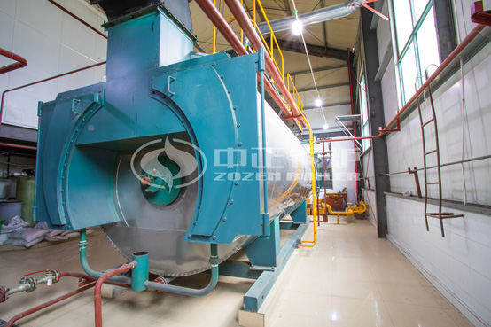 河北安国现代中药工业园40吨SZS系列低氮沼气蒸汽锅炉项目