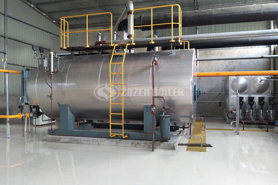 10吨SZS系列冷凝式沼气蒸汽锅炉项目