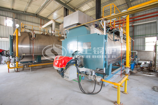 农夫山泉果业10吨WNS系列天然气蒸汽锅炉项目