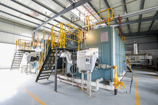吉利汽车临海产业园6吨WNS系列天然气蒸汽锅炉项目