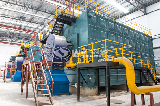 58MW SZS系列环保沼气热水锅炉项目